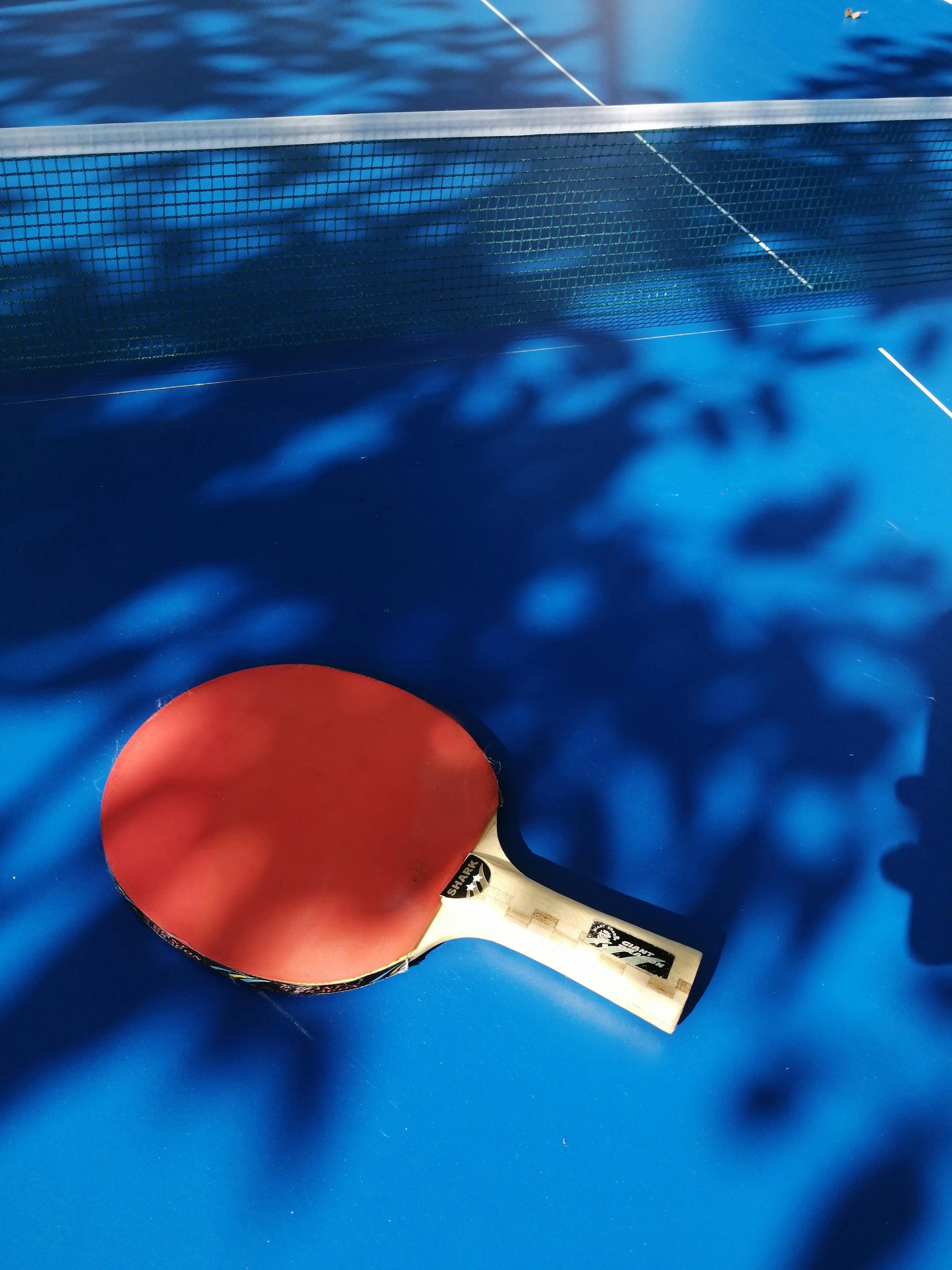 Tenis de masă în Chișinău